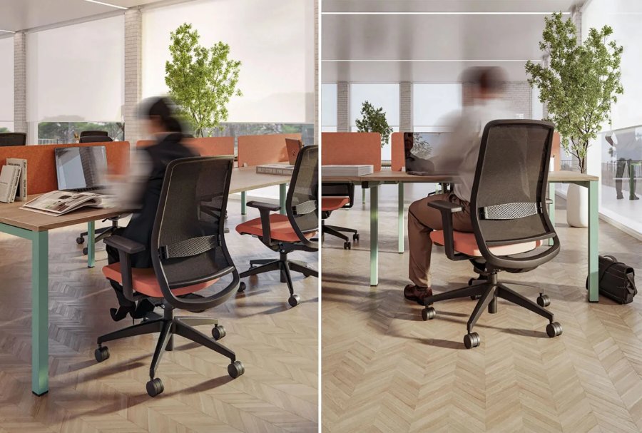 Office desks with plants